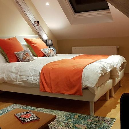 La Chouette Maison - Chambres D'Hotes Et Gite En Ville Remiremont Esterno foto