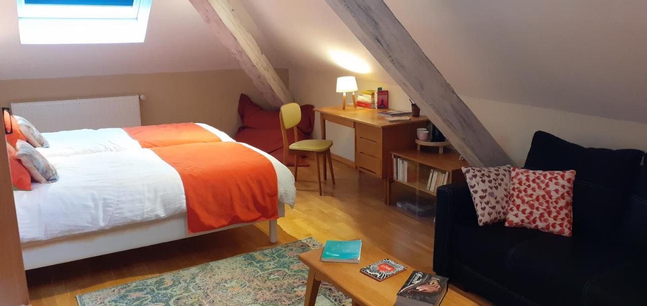 La Chouette Maison - Chambres D'Hotes Et Gite En Ville Remiremont Esterno foto