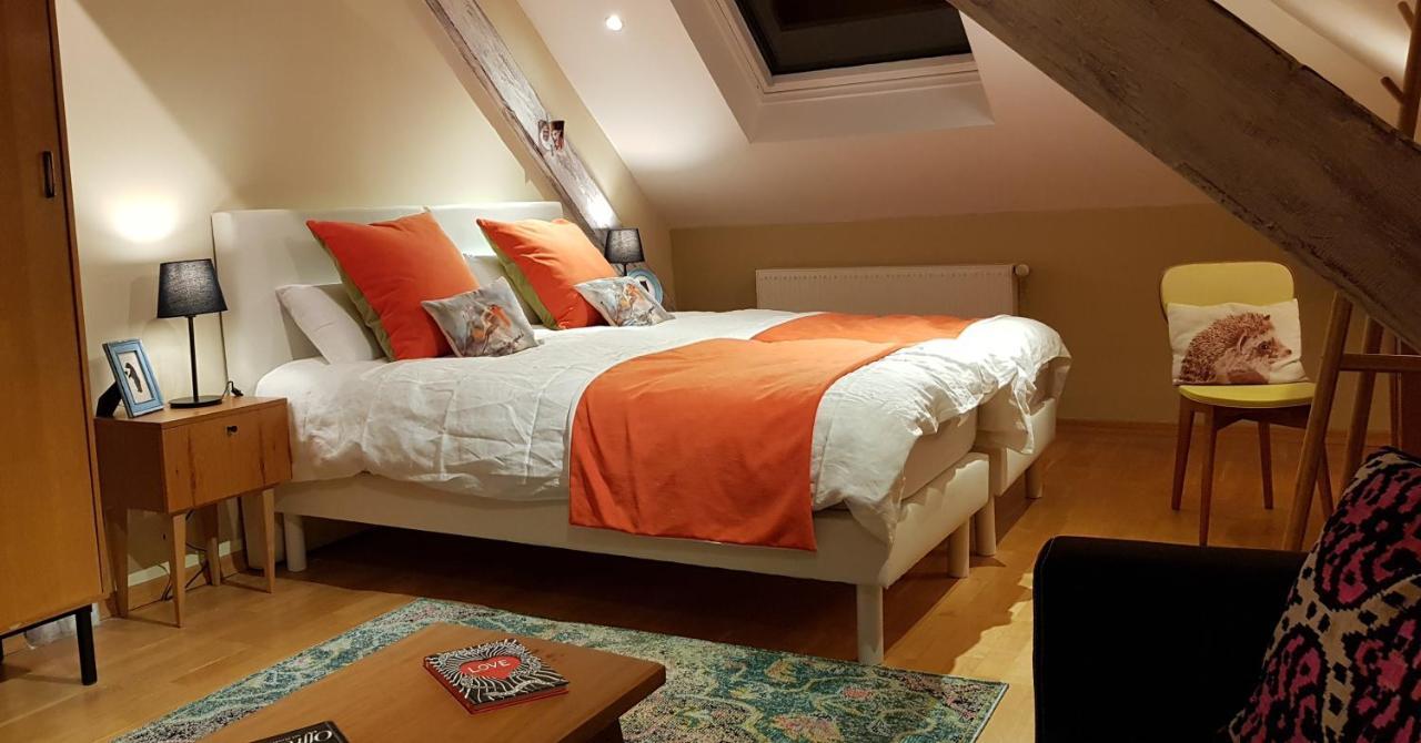 La Chouette Maison - Chambres D'Hotes Et Gite En Ville Remiremont Esterno foto