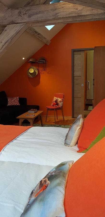 La Chouette Maison - Chambres D'Hotes Et Gite En Ville Remiremont Esterno foto