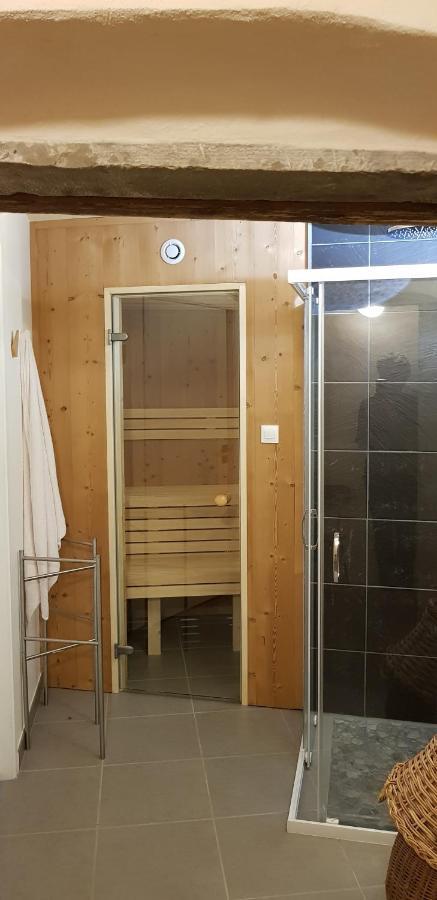 La Chouette Maison - Chambres D'Hotes Et Gite En Ville Remiremont Esterno foto